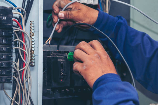 Best Electric Panel Repair  in Morton, MS